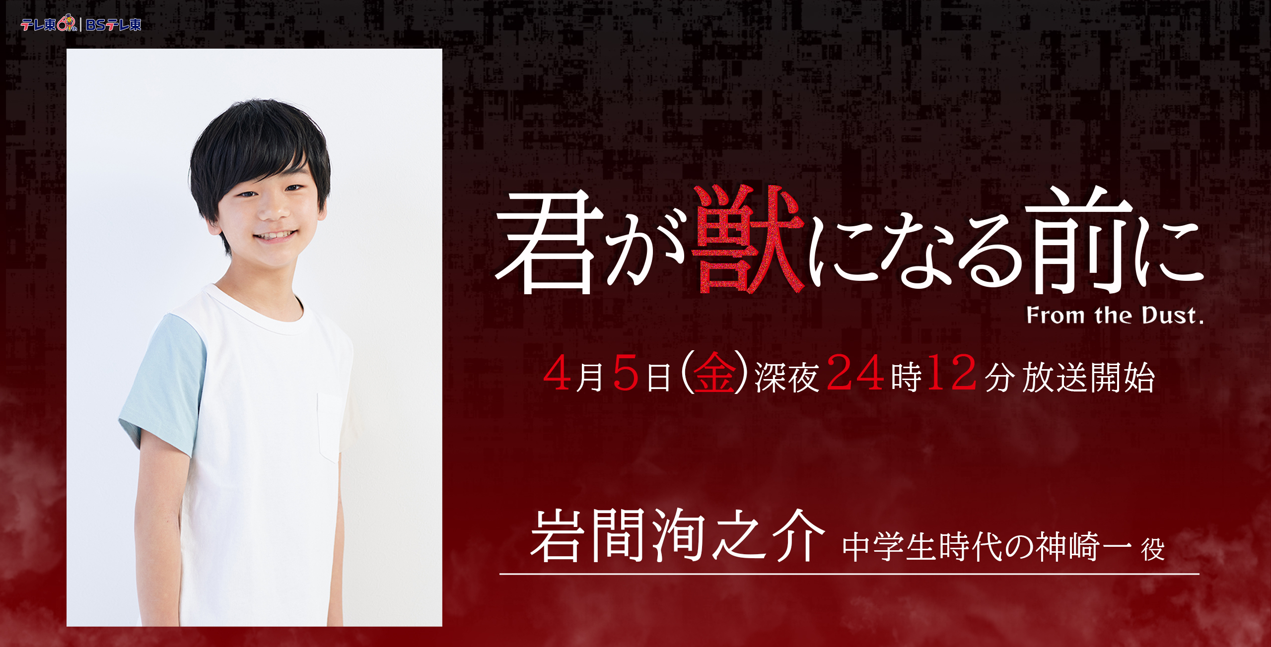 出演実績